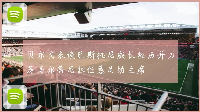 贝尔戈米谈巴斯托尼成长经历并力荐马尔蒂尼担任意足协主席